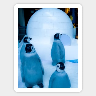 Igloo with a group of penguin sculptures Sticker